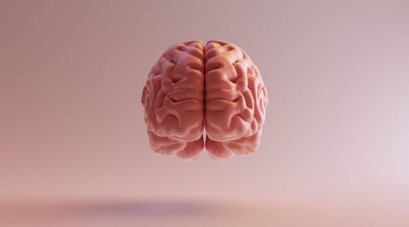 میکروسفالی