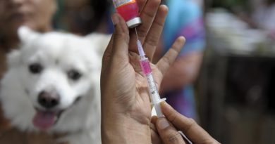 حیوانات-هاری