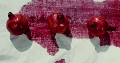 پاک کردن لکه انار