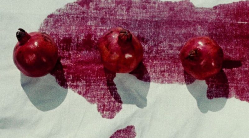 پاک کردن لکه انار