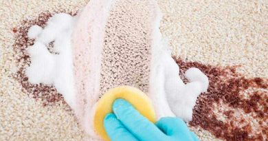 پاک-کننده-فرش-خانگی