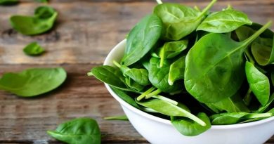 محصولات گیاهی