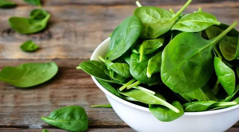 محصولات گیاهی