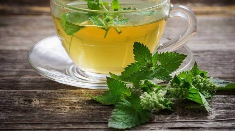 بادرنجبویه