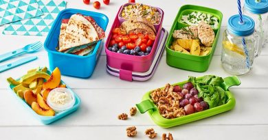 نگهداری غذاها