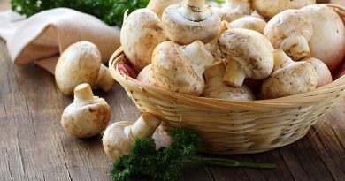 گیاهان سفید