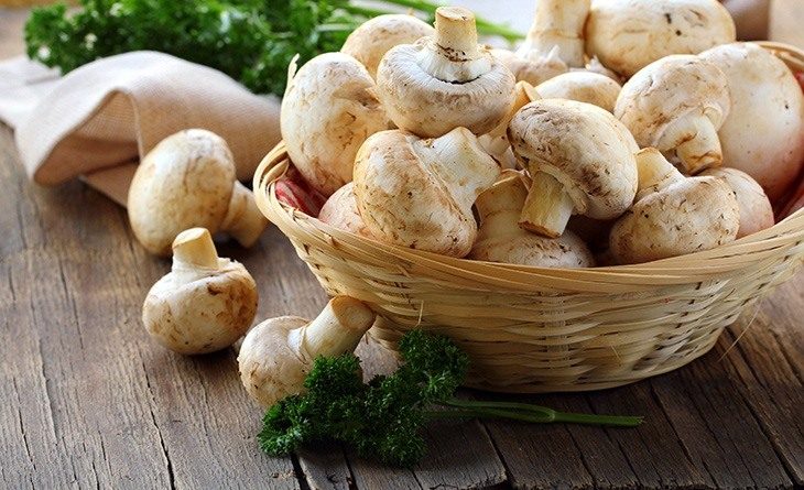 گیاهان سفید