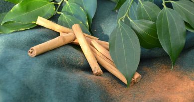 اثرات مثبت دارچین برای گیاهان و آفت زدایی