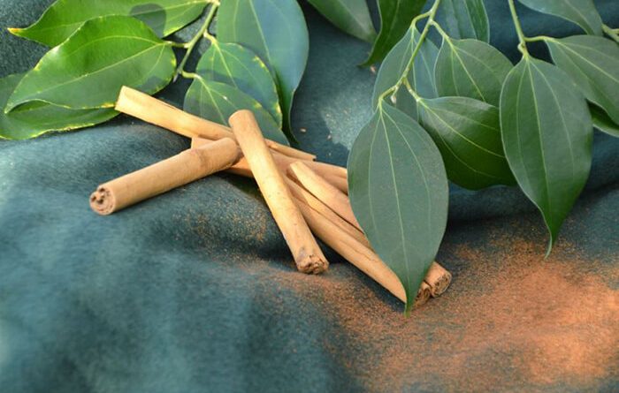 اثرات مثبت دارچین برای گیاهان و آفت زدایی