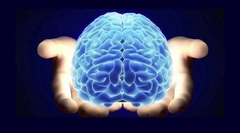 سلامت مغز