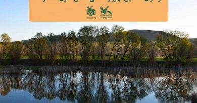 مهرواره فصلی