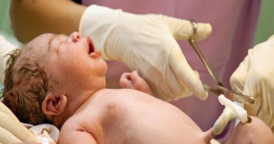 ذخیره‌سازی سلول‌های بنیادی