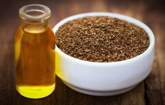 گیاه دارویی زنیان