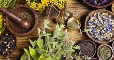 گیاهان دارویی