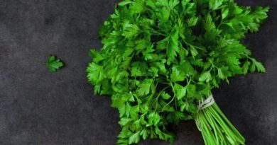 بیماری سرطان