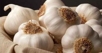 سیر برای کودکان