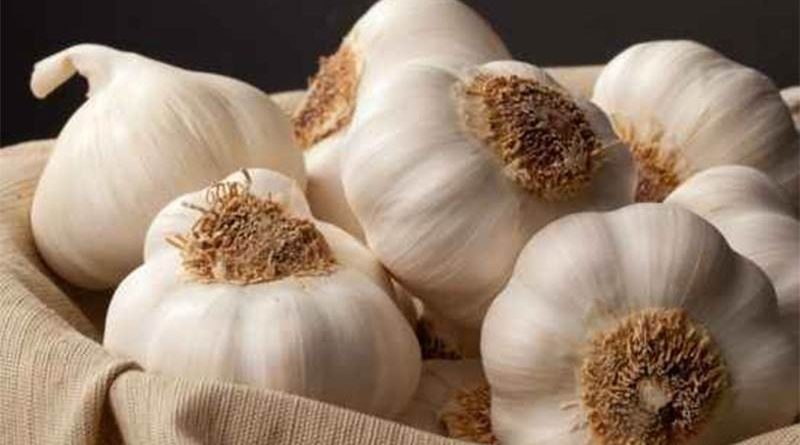 سیر برای کودکان