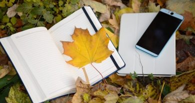 آموزش مجازی