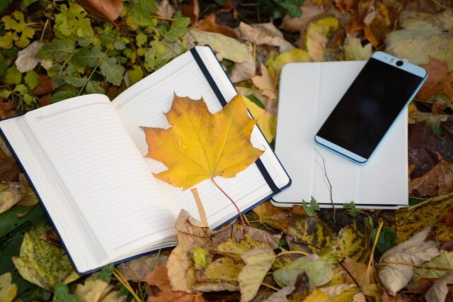 آموزش مجازی