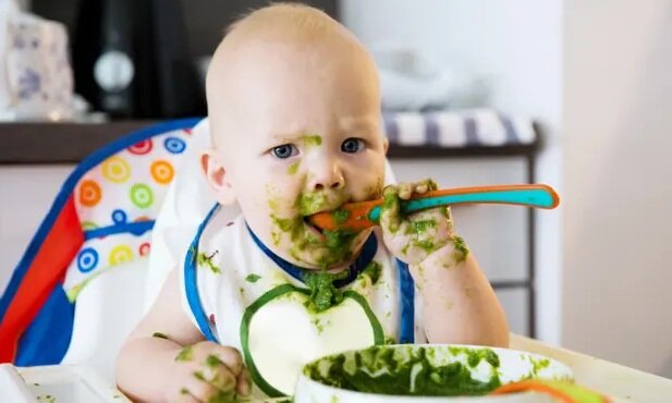 میکروپلاستیکها