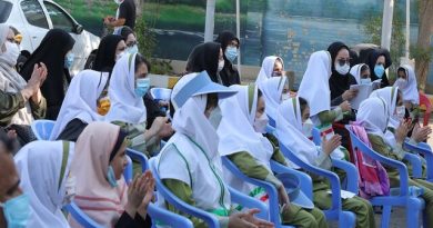 شور عاطفه‌ها