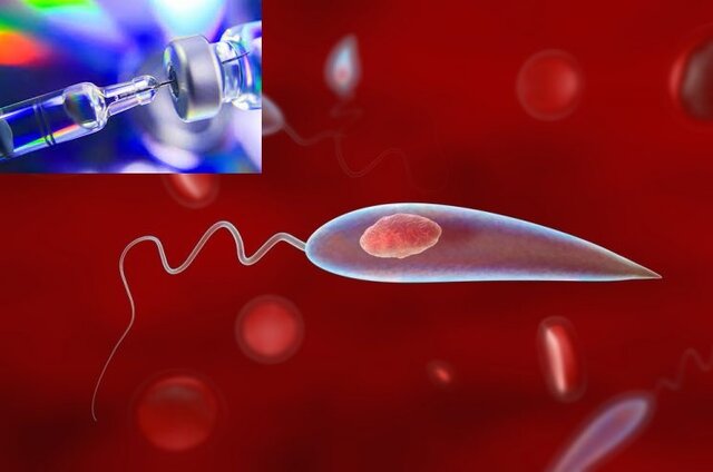 واکسن‌ انگلی