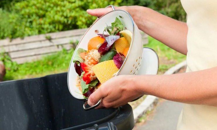 اسراف مواد غذایی