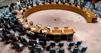 شورای امنیت