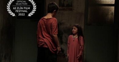 جشنواره فیلم زلین